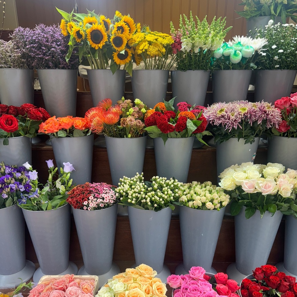 Meet your Posher, Anushka